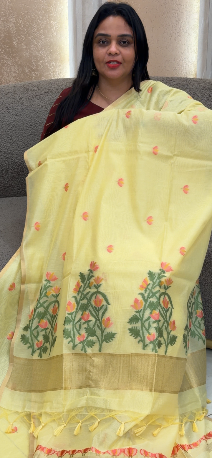 JAMDANI SAREES - NUWA - 1469